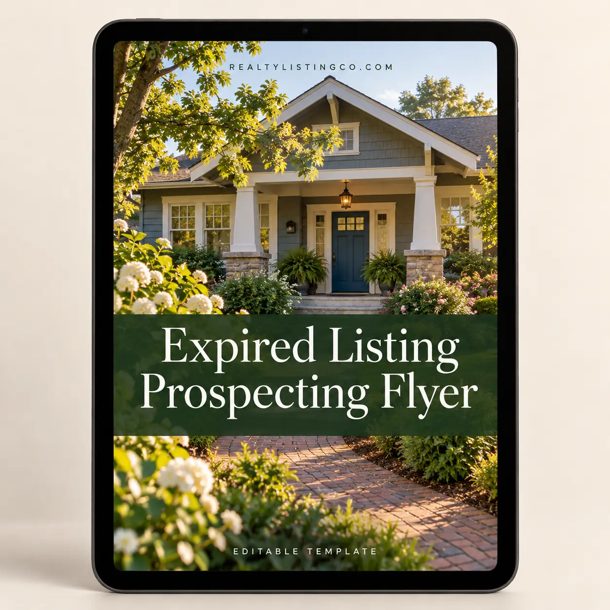 Expired Listing Prospecting Flyer