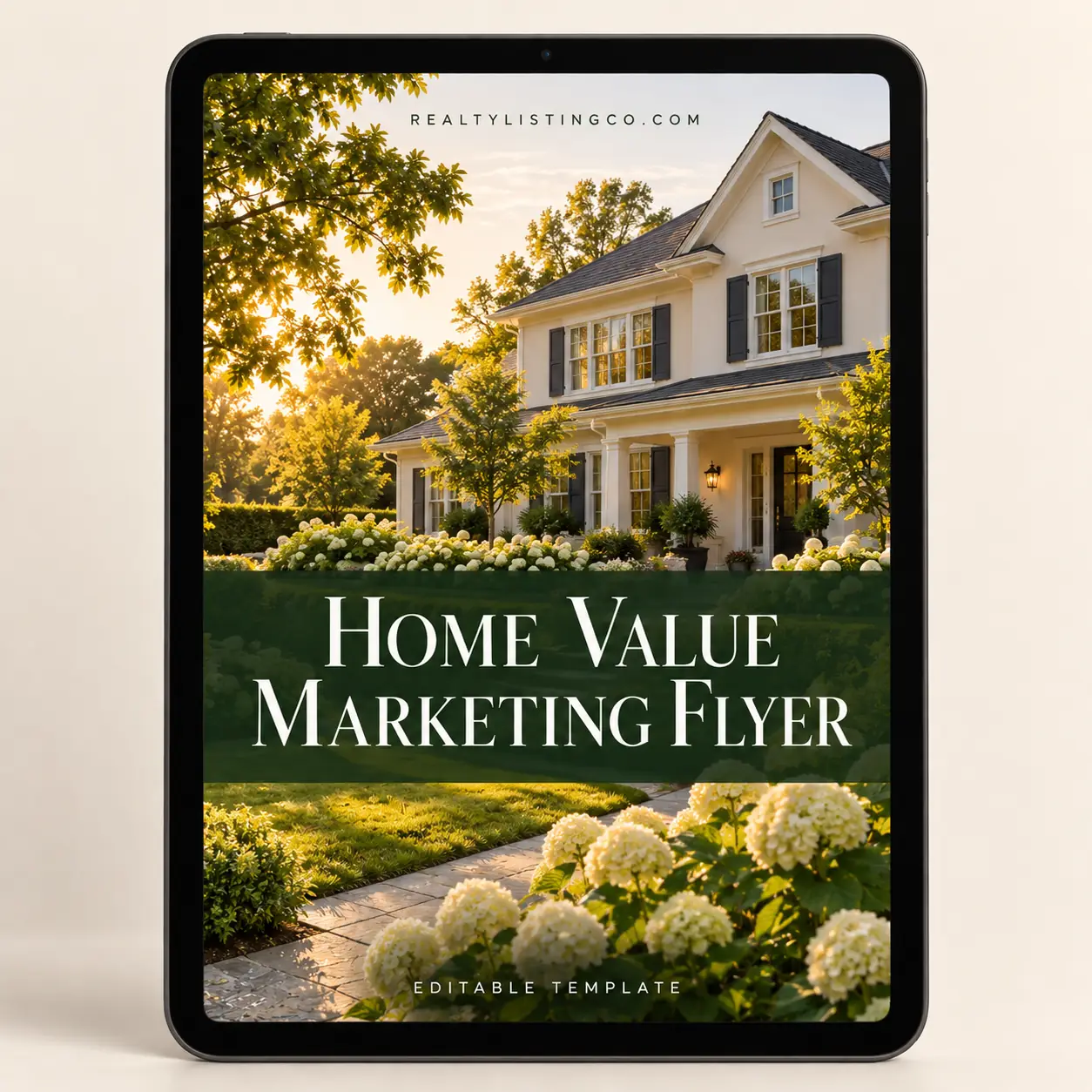 Home Value Marketing Flyer
